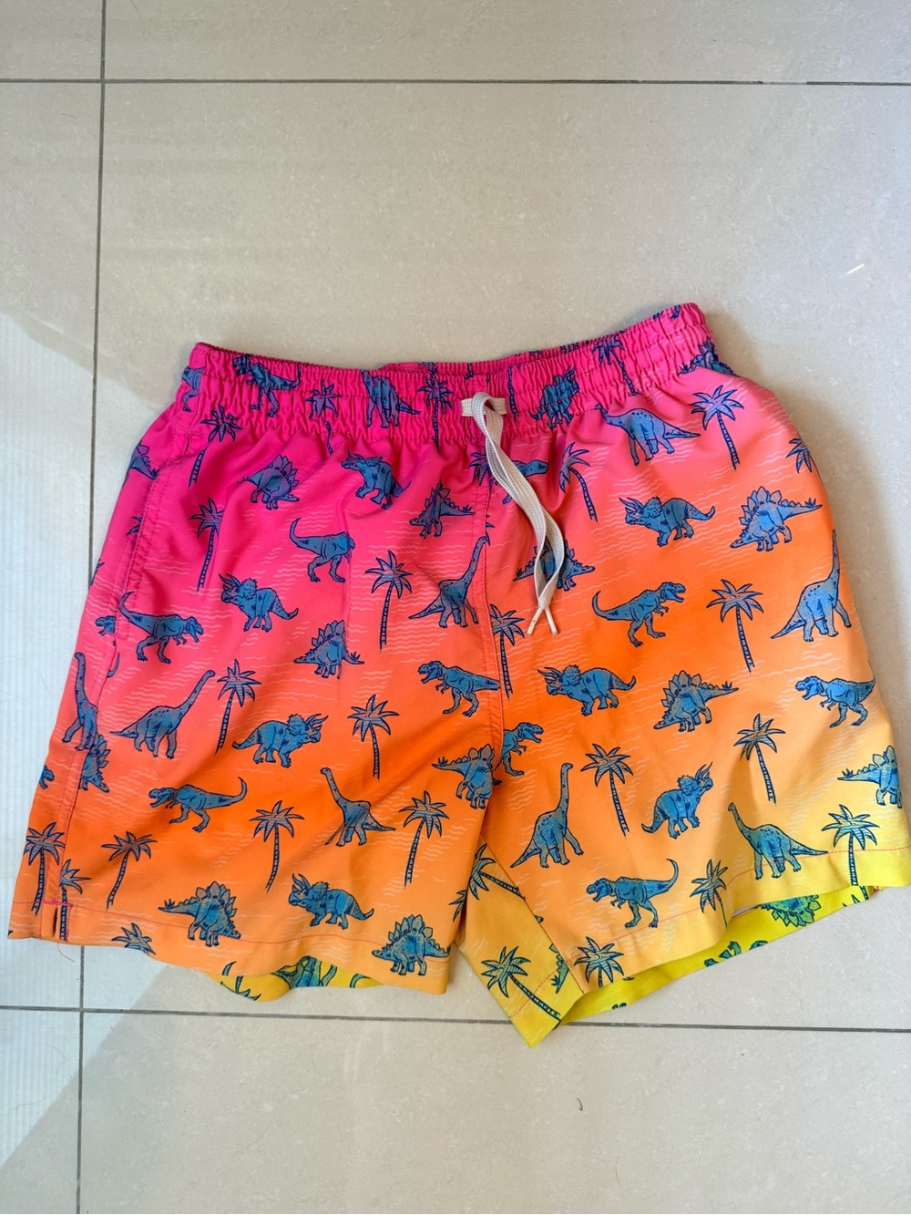 Chubbies Men's Medium Swim Shorts 5.5" Neon Drawstring Elastic Waist Dinosaur
